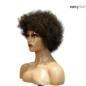 narcy hair machine made color wig remy hair